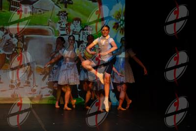 SHOW_00518.jpg